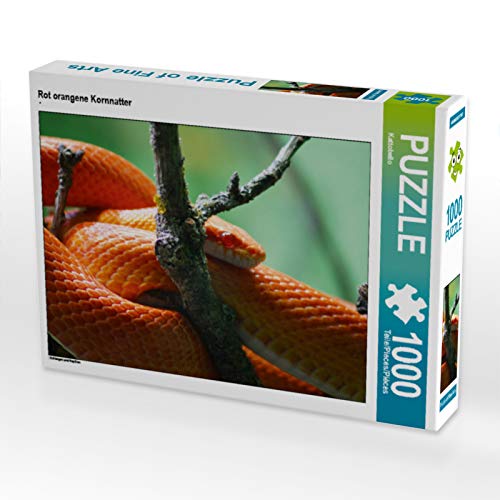 CALVENDO Puzzle Rot orangene Kornnatter 1000 Teile Puzzle quer | 1000 Teile Lege-Größe 64 x 48 cm Foto-Puzzle für glückliche Stunden von CALVENDO