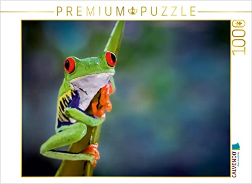 CALVENDO Puzzle Rotaugenlaubfrosch (Agalychnis callidryas) 1000 Teile Puzzle quer | 1000 Teile Lege-Größe 64 x 48 cm Foto-Puzzle für glückliche Stunden von CALVENDO