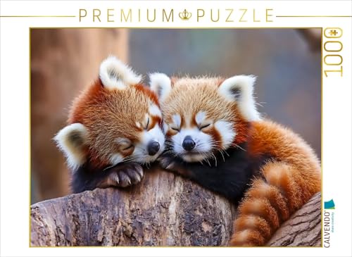 CALVENDO Puzzle Rote Panda | 1000 Teile Lege-Größe 64 x 48 cm Foto-Puzzle für glückliche Stunden CALVENDO Puzzle Rote Panda | 1000 Teile Lege-Größe 64 x 48 cm Foto-Puzzle für glückliche Stunden von CALVENDO