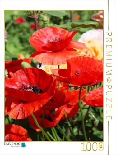 CALVENDO Puzzle Roter Mohn im Garten | 1000 Teile Lege-Größe 64 x 48 cm Foto-Puzzle für glückliche Stunden CALVENDO Puzzle Roter Mohn im Garten | 1000 Teile Lege-Größe 64 x 48 cm Foto-Puzzle für glückliche Stunden von CALVENDO