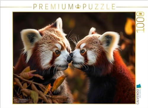 CALVENDO Puzzle Roter Panda - schmusen | 1000 Teile Lege-Größe 64 x 48 cm Foto-Puzzle für glückliche Stunden CALVENDO Puzzle Roter Panda - schmusen | 1000 Teile Lege-Größe 64 x 48 cm Foto-Puzzle für glückliche Stunden von CALVENDO