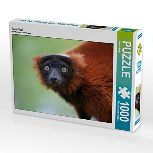 CALVENDO Puzzle Roter Vari 1000 Teile Puzzle quer | 1000 Teile Lege-Größe 64 x 48 cm Foto-Puzzle für glückliche Stunden CALVENDO Puzzle Roter Vari 1000 Teile Puzzle quer | 1000 Teile Lege-Größe 64 x 48 cm Foto-Puzzle für glückliche Stunden von CALVENDO