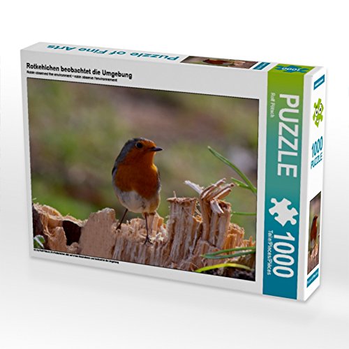 CALVENDO Puzzle Rotkehlchen beobachtet die Umgebung 1000 Teile Puzzle quer | 1000 Teile Lege-Größe 64 x 48 cm Foto-Puzzle für glückliche Stunden von CALVENDO