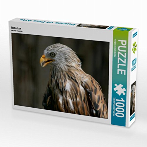 CALVENDO Puzzle Rotmilan 1000 Teile Lege-Größe 64 x 48 cm Foto-Puzzle Bild von Antje Lindert-Rottke von CALVENDO