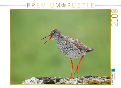 CALVENDO Puzzle Rotschenkel | 2000 Teile Lege-Größe 90 x 67 cm Foto-Puzzle für glückliche Stunden von CALVENDO