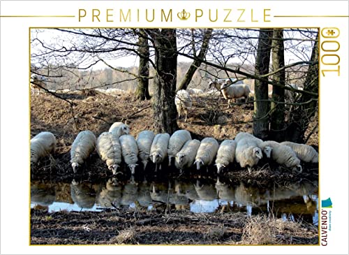 CALVENDO Puzzle Rotterwiese-Aggerauen 1000 Teile Puzzle quer | 1000 Teile Lege-Größe 64 x 48 cm Foto-Puzzle für glückliche Stunden von CALVENDO