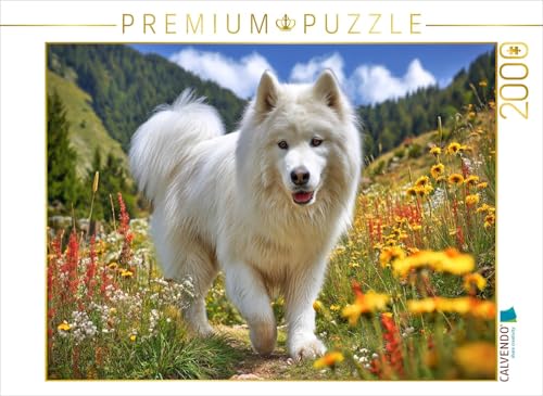 CALVENDO Puzzle Samojede auf der Bergwiese | 2000 Teile Lege-Größe 90 x 67 cm Foto-Puzzle für glückliche Stunden CALVENDO Puzzle Samojede auf der Bergwiese | 2000 Teile Lege-Größe 90 x 67 cm Foto-Puzzle für glückliche Stunden von CALVENDO