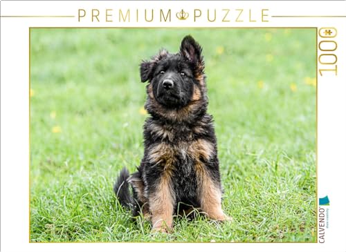 CALVENDO Puzzle Schäferhund - Welpe Hündin | 1000 Teile Lege-Größe 64 x 48 cm Foto-Puzzle für glückliche Stunden von CALVENDO