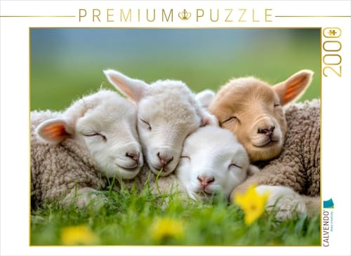 CALVENDO Puzzle Schafe | 2000 Teile Lege-Größe 90 x 67 cm Foto-Puzzle für glückliche Stunden CALVENDO Puzzle Schafe | 2000 Teile Lege-Größe 90 x 67 cm Foto-Puzzle für glückliche Stunden von CALVENDO