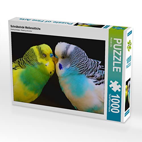 CALVENDO Puzzle Schnäbelnde Wellensittiche | 1000 Teile Lege-Größe 64 x 48 cm Foto-Puzzle für glückliche Stunden CALVENDO Puzzle Schnäbelnde Wellensittiche | 1000 Teile Lege-Größe 64 x 48 cm Foto-Puzzle für glückliche Stunden von CALVENDO