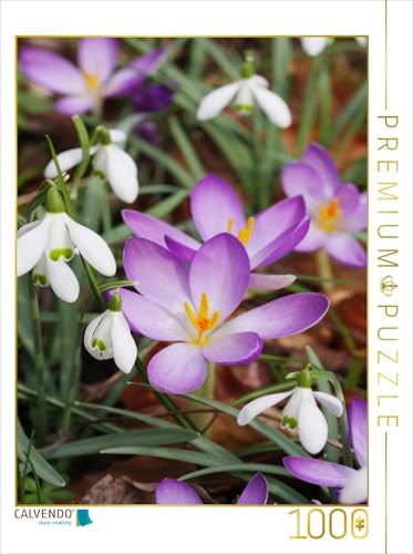 CALVENDO Puzzle Schneeglöckchen und Krokusse | 1000 Teile Lege-Größe 48 x 64 cm Foto-Puzzle für glückliche Stunden CALVENDO Puzzle Schneeglöckchen und Krokusse | 1000 Teile Lege-Größe 48 x 64 cm Foto-Puzzle für glückliche Stunden von CALVENDO
