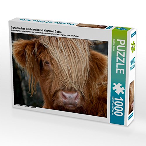 CALVENDO Puzzle Schottisches Hochland Rind, Highland Cattle 1000 Teile Puzzle quer | 1000 Teile Lege-Größe 64 x 48 cm Foto-Puzzle für glückliche Stunden von CALVENDO