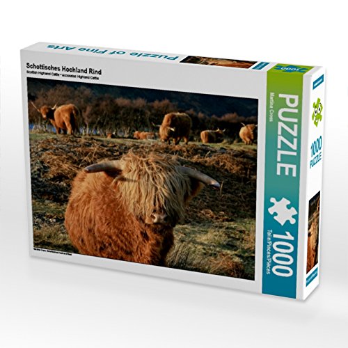 CALVENDO Puzzle Schottisches Hochland Rind 1000 Teile Puzzle quer | 1000 Teile Lege-Größe 64 x 48 cm Foto-Puzzle für glückliche Stunden CALVENDO Puzzle Schottisches Hochland Rind 1000 Teile Puzzle quer | 1000 Teile Lege-Größe 64 x 48 cm Foto-Puzzle für glückliche Stunden von CALVENDO