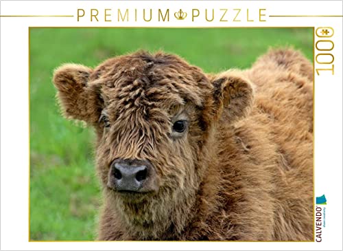 CALVENDO Puzzle Schottisches Hochlandkalb 1000 Teile Puzzle quer | 1000 Teile Lege-Größe 64 x 48 cm Foto-Puzzle für glückliche Stunden CALVENDO Puzzle Schottisches Hochlandkalb 1000 Teile Puzzle quer | 1000 Teile Lege-Größe 64 x 48 cm Foto-Puzzle für glückliche Stunden von CALVENDO