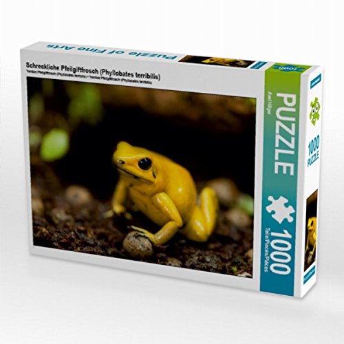 CALVENDO Puzzle Schreckliche Pfeilgiftfrosch (Phyllobates terribilis) 1000 Teile Puzzle quer | Lege-Größe cm Foto-Puzzle für glückliche Stunden von CALVENDO