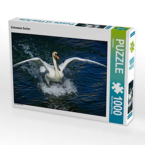 CALVENDO Puzzle Schwanen Surfen 1000 Teile Puzzle quer | 1000 Teile Lege-Größe 64 x 48 cm Foto-Puzzle für glückliche Stunden von CALVENDO