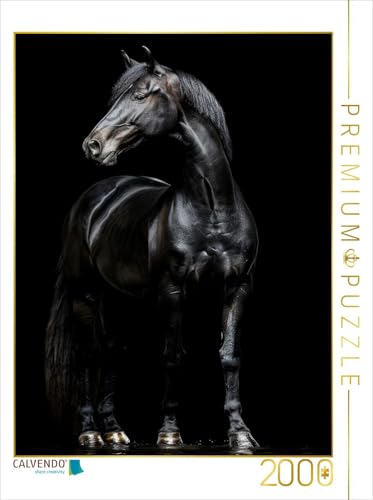 CALVENDO Puzzle Schwarze Eleganz - Pferde Rappe | Lege-Größe cm Foto-Puzzle für glückliche Stunden von CALVENDO