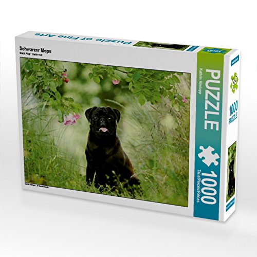 CALVENDO Puzzle Schwarzer Mops 1000 Teile Puzzle quer | Lege-Größe cm Foto-Puzzle für glückliche Stunden CALVENDO Puzzle Schwarzer Mops 1000 Teile Puzzle quer | Lege-Größe cm Foto-Puzzle für glückliche Stunden von CALVENDO