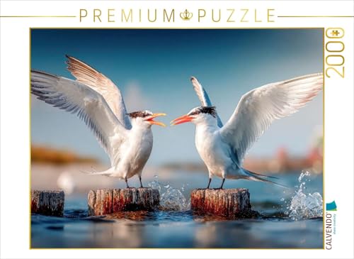 CALVENDO Puzzle Seeschwalbengetratsche | 2000 Teile Lege-Größe 90 x 67 cm Foto-Puzzle für glückliche Stunden CALVENDO Puzzle Seeschwalbengetratsche | 2000 Teile Lege-Größe 90 x 67 cm Foto-Puzzle für glückliche Stunden von CALVENDO