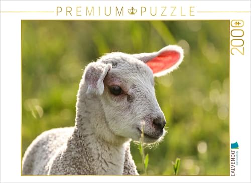 CALVENDO Puzzle Selbstbewusstes Lamm | 2000 Teile Lege-Größe 90 x 67 cm Foto-Puzzle für glückliche Stunden von CALVENDO