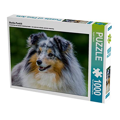 CALVENDO Puzzle Sheltie-Porträt 1000 Teile Lege-Größe 64 x 48 cm Foto-Puzzle Bild von Sista-Tierfoto von CALVENDO
