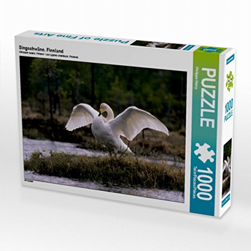 CALVENDO Puzzle Singschwäne. Finnland 1000 Teile Lege-Größe 64 x 48 cm Foto-Puzzle Bild von Philippe Henry CALVENDO Puzzle Singschwäne. Finnland 1000 Teile Lege-Größe 64 x 48 cm Foto-Puzzle Bild von Philippe Henry von CALVENDO
