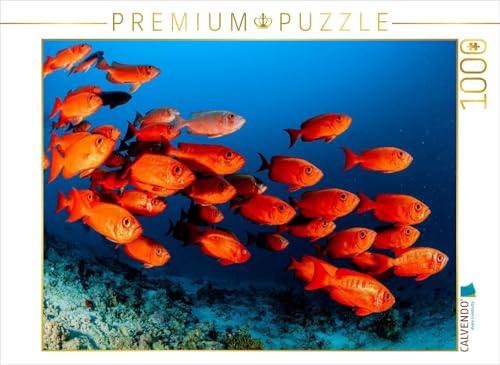 CALVENDO Puzzle Soldatenfische | 1000 Teile Lege-Größe 64 x 48 cm Foto-Puzzle für glückliche Stunden von CALVENDO