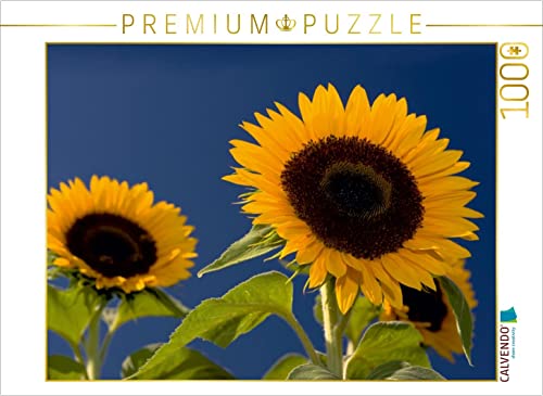 CALVENDO Puzzle Sonnenblumen 1000 Teile Puzzle quer | 1000 Teile Lege-Größe 64 x 48 cm Foto-Puzzle für glückliche Stunden von CALVENDO
