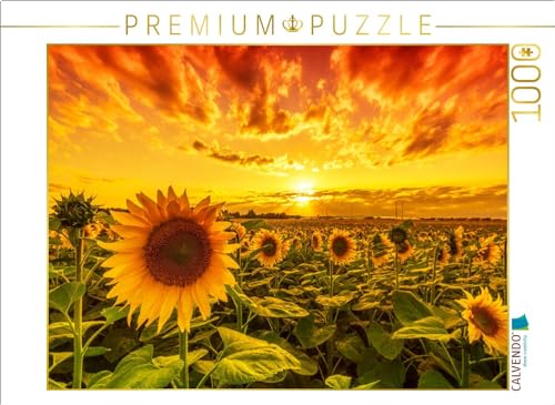 CALVENDO Puzzle Sonnenblumenfeld in Reform | 1000 Teile Lege-Größe 64 x 48 cm Foto-Puzzle für glückliche Stunden von CALVENDO