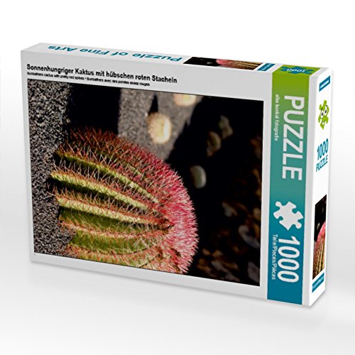 CALVENDO Puzzle Sonnenhungriger Kaktus mit hübschen roten Stacheln 1000 Teile Puzzle hoch | 1000 Teile Lege-Größe 48 x 64 cm Foto-Puzzle für glückliche Stunden CALVENDO Puzzle Sonnenhungriger Kaktus mit hübschen roten Stacheln 1000 Teile Puzzle hoch | 1000 Teile Lege-Größe 48 x 64 cm Foto-Puzzle für glückliche Stunden von CALVENDO