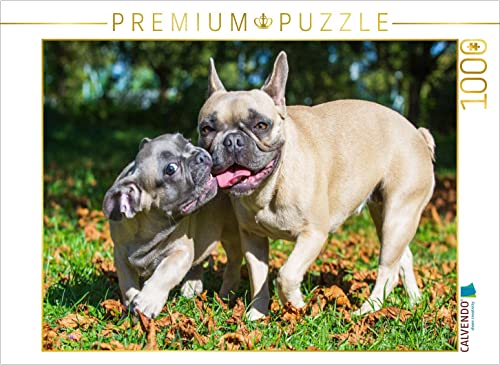 CALVENDO Puzzle Spiel mit Mama 1000 Teile Lege-Größe 64 x 48 cm Foto-Puzzle Bild von Sista-Tierfoto von CALVENDO