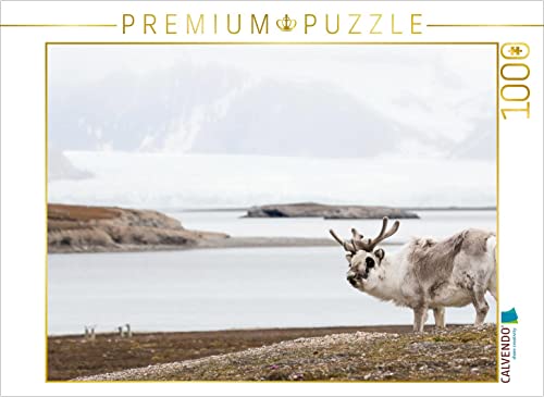 CALVENDO Puzzle Spitzbergen-Rentier 1000 Teile Puzzle quer | 1000 Teile Lege-Größe 64 x 48 cm Foto-Puzzle für glückliche Stunden CALVENDO Puzzle Spitzbergen-Rentier 1000 Teile Puzzle quer | 1000 Teile Lege-Größe 64 x 48 cm Foto-Puzzle für glückliche Stunden von CALVENDO