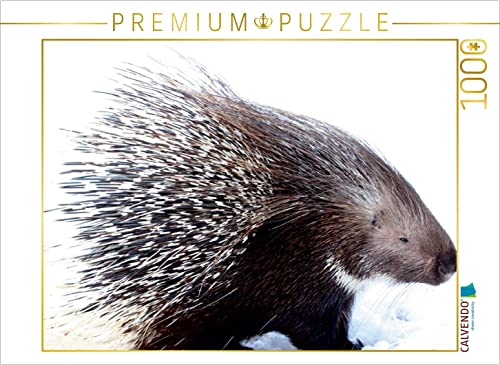 CALVENDO Puzzle Stachtelschwein 1000 Teile Puzzle quer | 1000 Teile Lege-Größe 64 x 48 cm Foto-Puzzle für glückliche Stunden CALVENDO Puzzle Stachtelschwein 1000 Teile Puzzle quer | 1000 Teile Lege-Größe 64 x 48 cm Foto-Puzzle für glückliche Stunden von CALVENDO