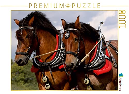 CALVENDO Puzzle Starke Pferde 1000 Teile Puzzle quer | 1000 Teile Lege-Größe 64 x 48 cm Foto-Puzzle für glückliche Stunden von CALVENDO