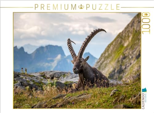 CALVENDO Puzzle Steinbock Siesta | Lege-Größe cm Foto-Puzzle für glückliche Stunden von CALVENDO
