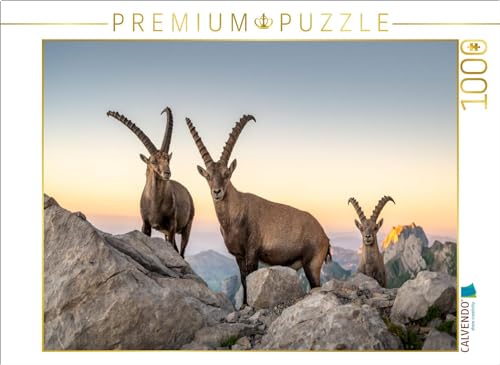 CALVENDO Puzzle Steinbock Treffen | 1000 Teile Lege-Größe 64 x 48 cm Foto-Puzzle für glückliche Stunden CALVENDO Puzzle Steinbock Treffen | 1000 Teile Lege-Größe 64 x 48 cm Foto-Puzzle für glückliche Stunden von CALVENDO