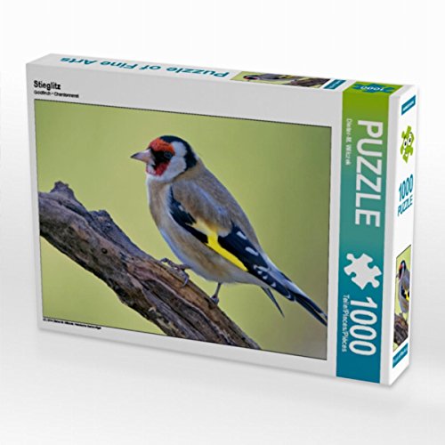 CALVENDO Puzzle Stieglitz 1000 Teile Puzzle quer | 1000 Teile Lege-Größe 64 x 48 cm Foto-Puzzle für glückliche Stunden CALVENDO Puzzle Stieglitz 1000 Teile Puzzle quer | 1000 Teile Lege-Größe 64 x 48 cm Foto-Puzzle für glückliche Stunden von CALVENDO