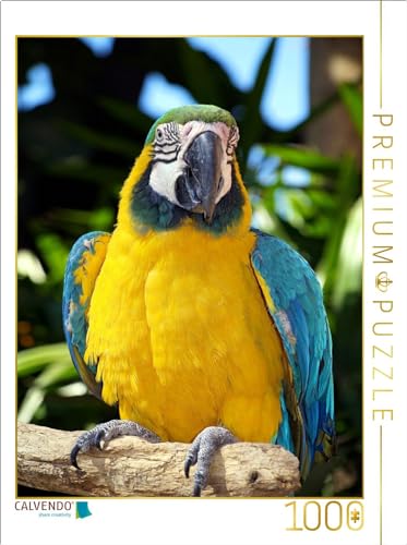 CALVENDO Puzzle Stolzer Gelbbrustara | 1000 Teile Lege-Größe 64 x 48 cm Foto-Puzzle für glückliche Stunden von CALVENDO