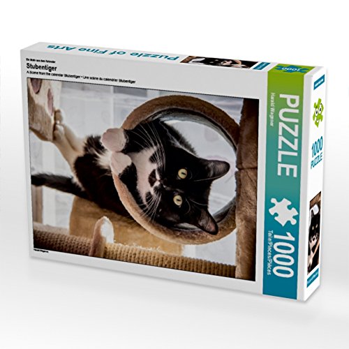 CALVENDO Puzzle EIN Motiv aus dem Kalender Stubentiger 1000 Teile Puzzle hoch | 1000 Teile Lege-Größe 48 x 64 cm Foto-Puzzle für glückliche Stunden CALVENDO Puzzle EIN Motiv aus dem Kalender Stubentiger 1000 Teile Puzzle hoch | 1000 Teile Lege-Größe 48 x 64 cm Foto-Puzzle für glückliche Stunden von CALVENDO