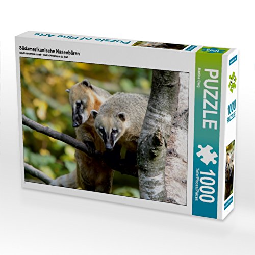 CALVENDO Puzzle Südamerikanische Nasenbären 1000 Teile Puzzle quer | 1000 Teile Lege-Größe 64 x 48 cm Foto-Puzzle für glückliche Stunden von CALVENDO