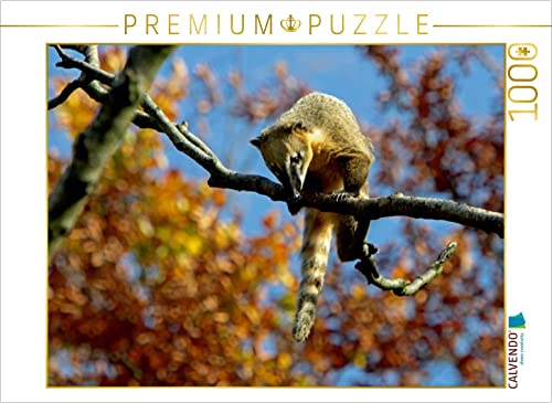 CALVENDO Puzzle Südamerikanischer Nasenbär 1000 Teile Puzzle quer | 1000 Teile Lege-Größe 64 x 48 cm Foto-Puzzle für glückliche Stunden von CALVENDO