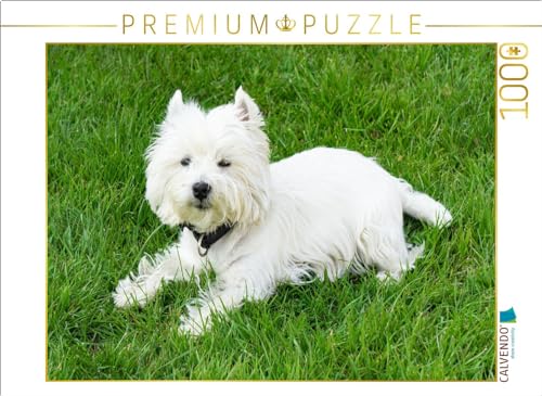 CALVENDO Puzzle Süßer West Highland White Terrier liegt im Gras | 1000 Teile Lege-Größe 64 x 48 cm Foto-Puzzle für glückliche Stunden von CALVENDO