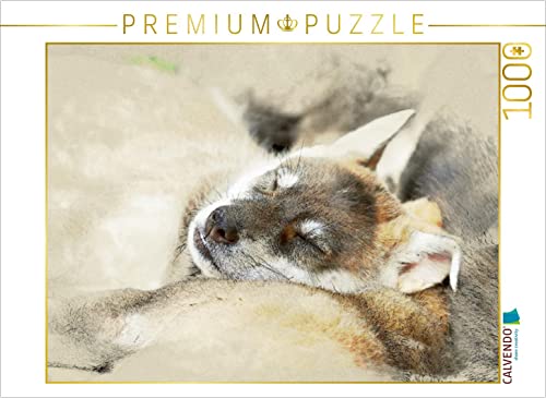 CALVENDO Puzzle Tamaskan 1000 Teile Puzzle quer | 1000 Teile Lege-Größe 64 x 48 cm Foto-Puzzle für glückliche Stunden von CALVENDO