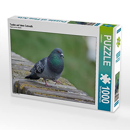 CALVENDO Puzzle Taube auf dem Catwalk 1000 Teile Puzzle quer | 1000 Teile Lege-Größe 64 x 48 cm Foto-Puzzle für glückliche Stunden von CALVENDO