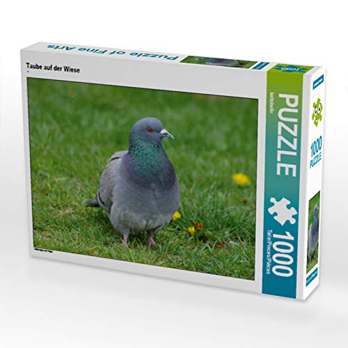 CALVENDO Puzzle Taube auf der Wiese 1000 Teile Puzzle quer | 1000 Teile Lege-Größe 64 x 48 cm Foto-Puzzle für glückliche Stunden CALVENDO Puzzle Taube auf der Wiese 1000 Teile Puzzle quer | 1000 Teile Lege-Größe 64 x 48 cm Foto-Puzzle für glückliche Stunden von CALVENDO