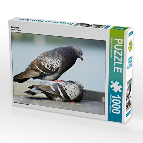 CALVENDO Puzzle Tauben 1000 Teile Puzzle quer | Lege-Größe cm Foto-Puzzle für glückliche Stunden von CALVENDO