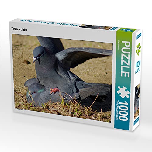 CALVENDO Puzzle Tauben Liebe 1000 Teile Puzzle quer | 1000 Teile Lege-Größe 64 x 48 cm Foto-Puzzle für glückliche Stunden CALVENDO Puzzle Tauben Liebe 1000 Teile Puzzle quer | 1000 Teile Lege-Größe 64 x 48 cm Foto-Puzzle für glückliche Stunden von CALVENDO