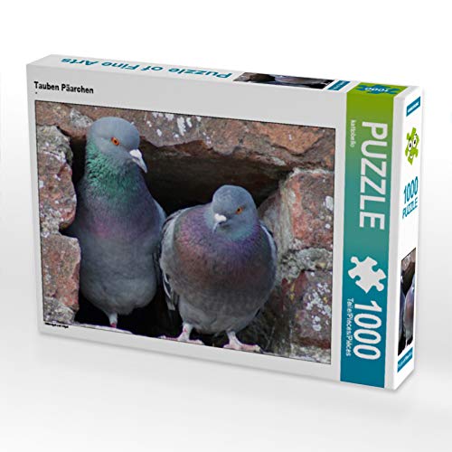 CALVENDO Puzzle Tauben Päarchen 1000 Teile Puzzle quer | 1000 Teile Lege-Größe 64 x 48 cm Foto-Puzzle für glückliche Stunden von CALVENDO