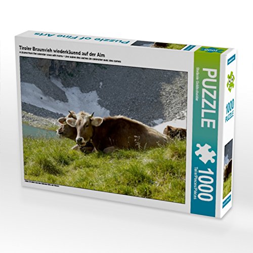 CALVENDO Puzzle Tiroler Braunvieh wiederkäuend auf der ALM 1000 Teile Puzzle quer | 1000 Teile Lege-Größe 64 x 48 cm Foto-Puzzle für glückliche Stunden CALVENDO Puzzle Tiroler Braunvieh wiederkäuend auf der ALM 1000 Teile Puzzle quer | 1000 Teile Lege-Größe 64 x 48 cm Foto-Puzzle für glückliche Stunden von CALVENDO