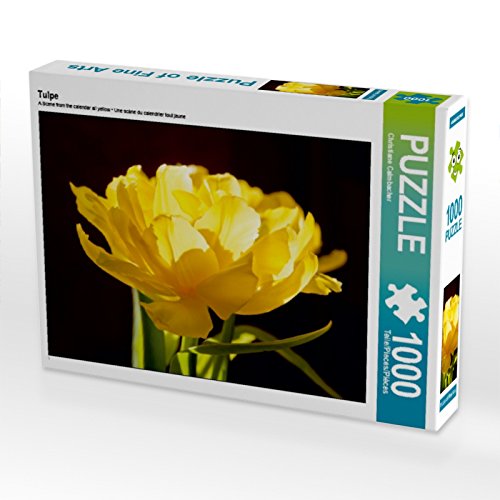 CALVENDO Puzzle Tulpe 1000 Teile Puzzle quer | 1000 Teile Lege-Größe 64 x 48 cm Foto-Puzzle für glückliche Stunden CALVENDO Puzzle Tulpe 1000 Teile Puzzle quer | 1000 Teile Lege-Größe 64 x 48 cm Foto-Puzzle für glückliche Stunden von CALVENDO